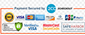 <p>Guaranteed <b>secure & safe</b> checkout.</p>